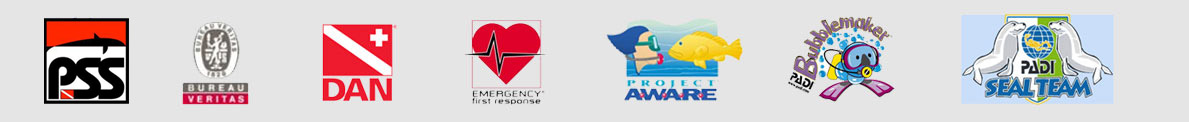 organizations